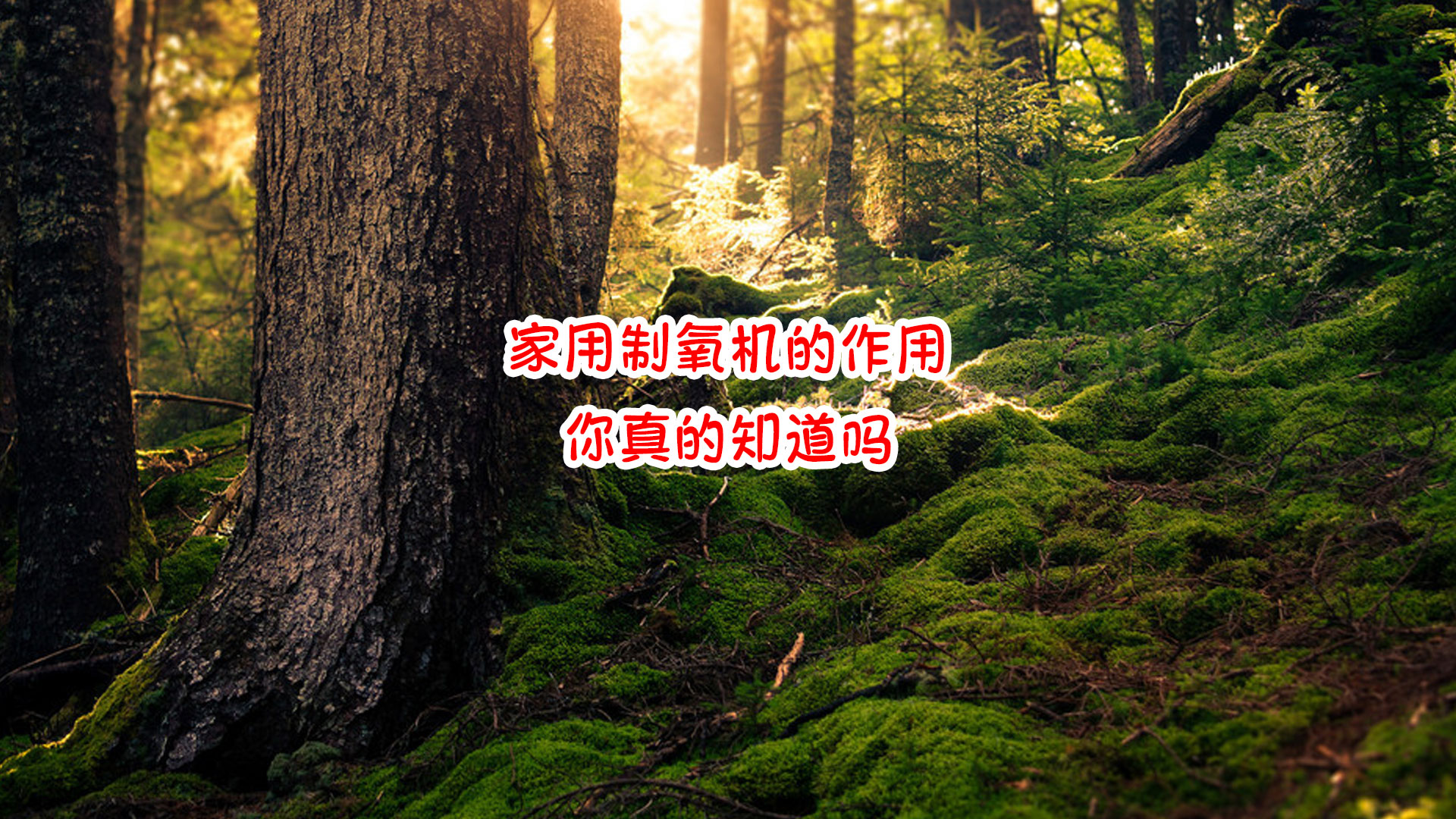 家用制氧機(jī)的做用你真的知道嗎.jpg